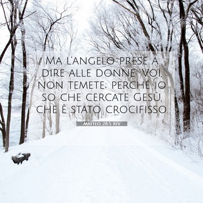 Matteo 28:5 RIV Immagine del Versetto della Bibbia