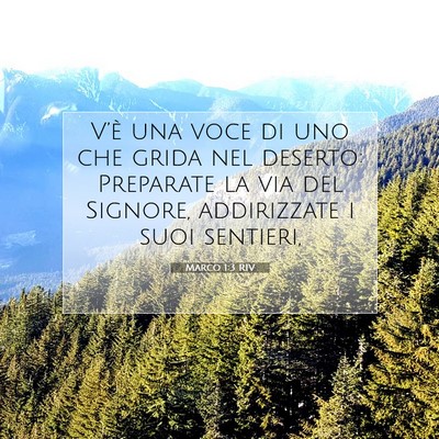 Marco 1:3 Versetto della Bibbia Spiegato