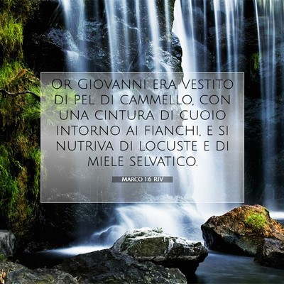 Marco 1:6 Versetto della Bibbia Spiegato