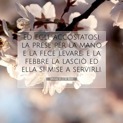 Marco 1:31 Versetto della Bibbia Spiegato