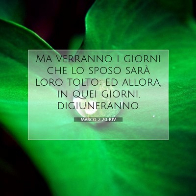 Marco 2:20 Versetto della Bibbia Spiegato