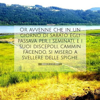 Marco 2:23 Versetto della Bibbia Spiegato
