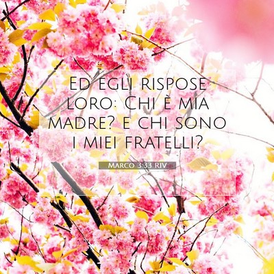 Marco 3:33 Versetto della Bibbia Spiegato