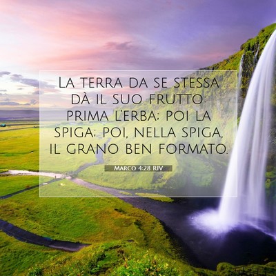 Marco 4:28 Versetto della Bibbia Spiegato
