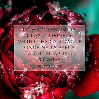 Marco 4:37 RIV Immagine del Versetto della Bibbia