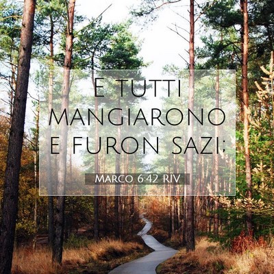 Marco 6:42 Versetto della Bibbia Spiegato