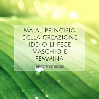 Marco 10:6 Versetto della Bibbia Spiegato