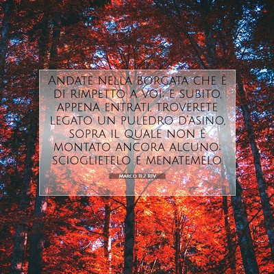 Marco 11:2 Versetto della Bibbia Spiegato