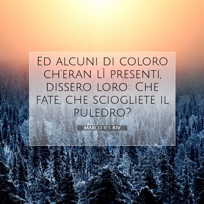 Marco 11:5 Versetto della Bibbia Spiegato