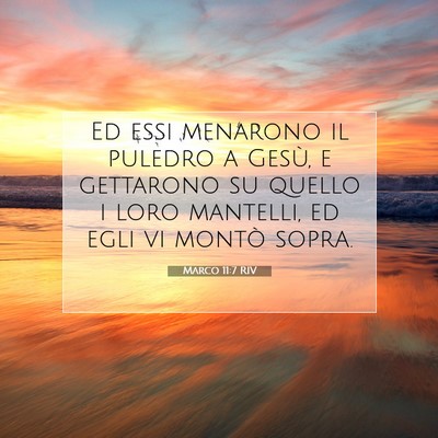 Marco 11:7 RIV Immagine del Versetto della Bibbia