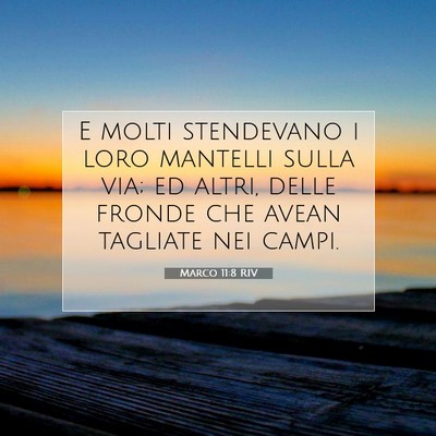 Marco 11:8 Versetto della Bibbia Spiegato