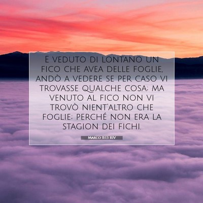 Marco 11:13 Versetto della Bibbia Spiegato