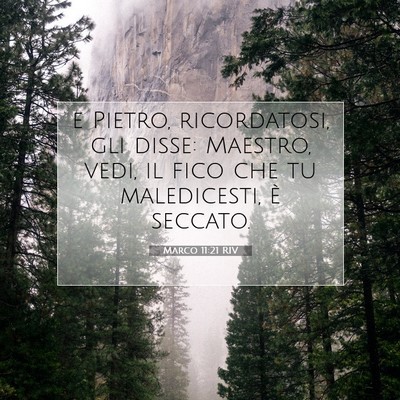 Marco 11:21 Versetto della Bibbia Spiegato