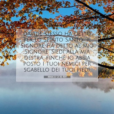 Marco 12:36 RIV Immagine del Versetto della Bibbia