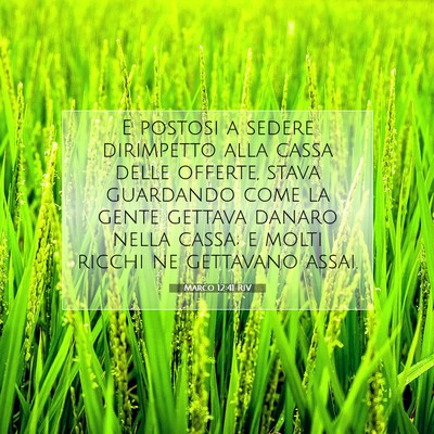 Marco 12:41 RIV Immagine del Versetto della Bibbia