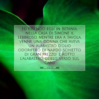 Marco 14:3 RIV Immagine del Versetto della Bibbia