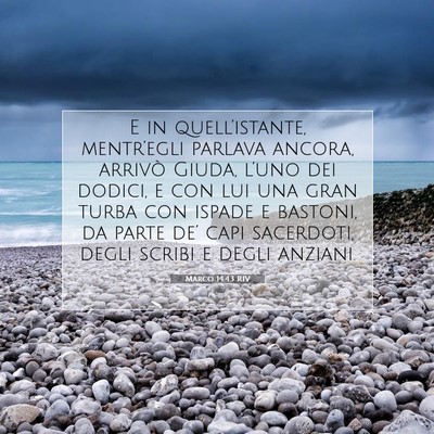 Marco 14:43 RIV Immagine del Versetto della Bibbia