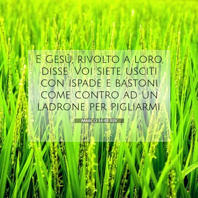 Marco 14:48 Versetto della Bibbia Spiegato