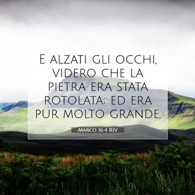 Marco 16:4 RIV Immagine del Versetto della Bibbia
