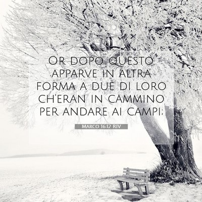 Marco 16:12 Versetto della Bibbia Spiegato