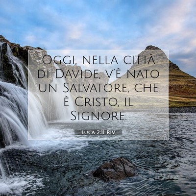Luca 2:11 RIV Immagine del Versetto della Bibbia