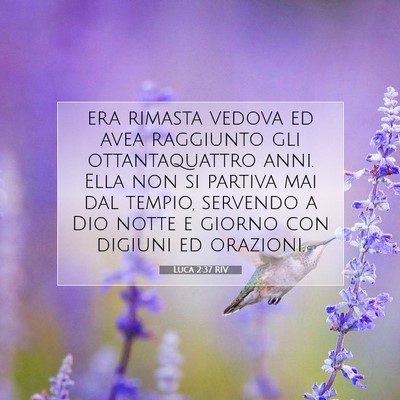 Luca 2:37 RIV Immagine del Versetto della Bibbia