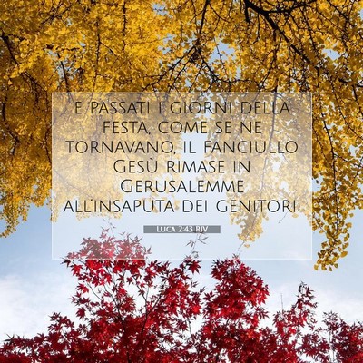 Luca 2:43 Versetto della Bibbia Spiegato