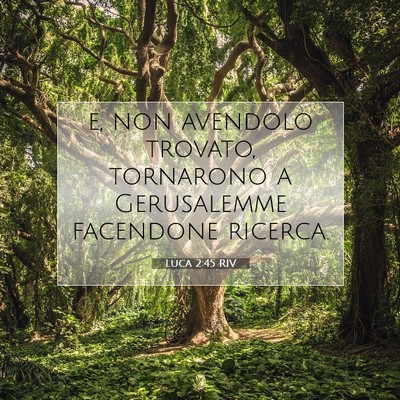 Luca 2:45 Versetto della Bibbia Spiegato