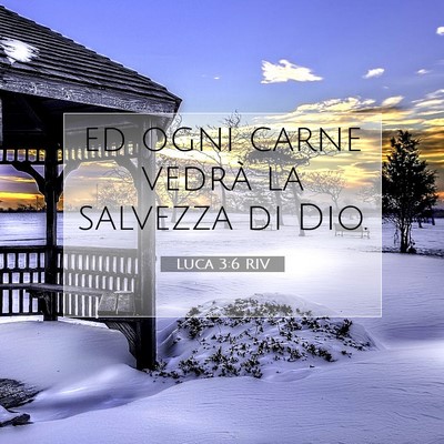 Luca 3:6 RIV Immagine del Versetto della Bibbia