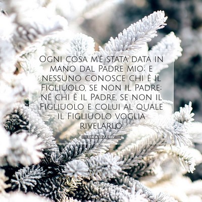 Luca 10:22 RIV Immagine del Versetto della Bibbia