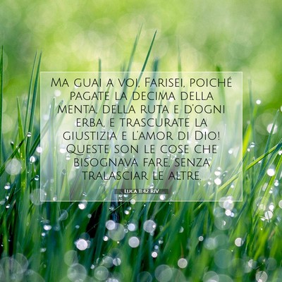 Luca 11:42 RIV Immagine del Versetto della Bibbia