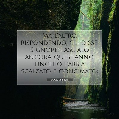 Luca 13:8 Versetto della Bibbia Spiegato