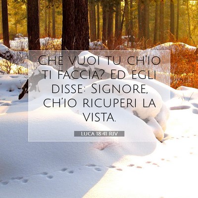 Luca 18:41 Versetto della Bibbia Spiegato