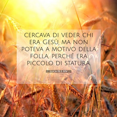 Luca 19:3 Versetto della Bibbia Spiegato