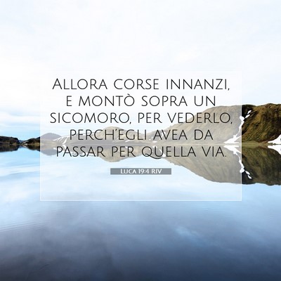 Luca 19:4 Versetto della Bibbia Spiegato