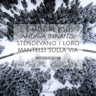 Luca 19:36 Versetto della Bibbia Spiegato
