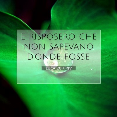 Luca 20:7 Versetto della Bibbia Spiegato