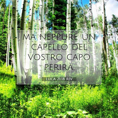 Luca 21:18 Versetto della Bibbia Spiegato