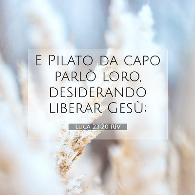 Luca 23:20 Versetto della Bibbia Spiegato