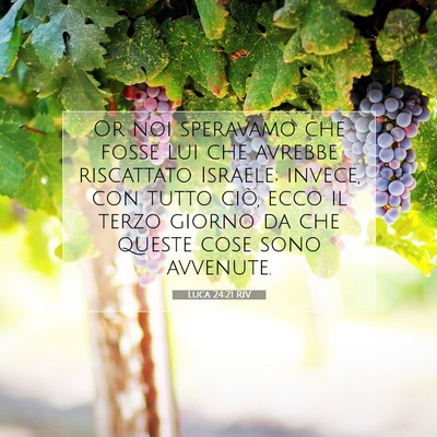 Luca 24:21 RIV Immagine del Versetto della Bibbia