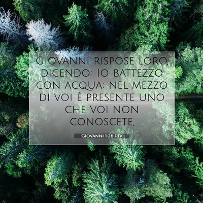 Giovanni 1:26 Versetto della Bibbia Spiegato