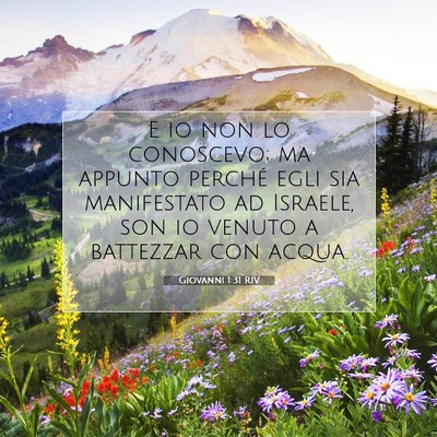 Giovanni 1:31 Versetto della Bibbia Spiegato