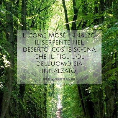 Giovanni 3:14 RIV Immagine del Versetto della Bibbia