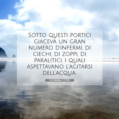 Giovanni 5:3 RIV Immagine del Versetto della Bibbia