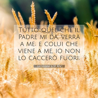 Giovanni 6:37 RIV Immagine del Versetto della Bibbia
