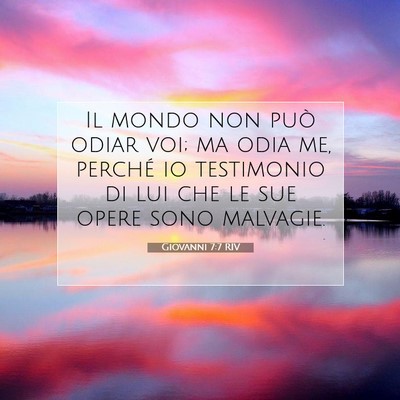 Giovanni 7:7 RIV Immagine del Versetto della Bibbia