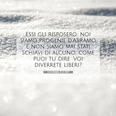 Giovanni 8:33 RIV Immagine del Versetto della Bibbia