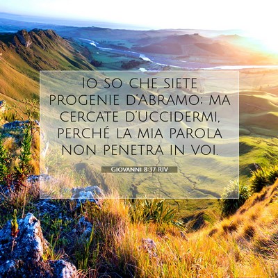 Giovanni 8:37 RIV Immagine del Versetto della Bibbia