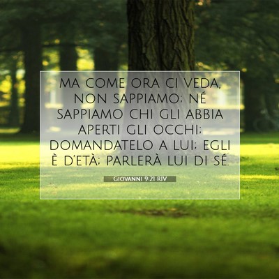 Giovanni 9:21 Versetto della Bibbia Spiegato