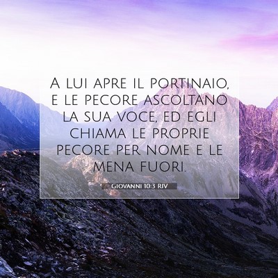 Giovanni 10:3 RIV Immagine del Versetto della Bibbia